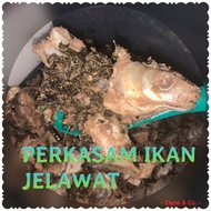 PERKASAM IKAN JELAWAT
