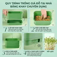 Bean Sprout Box/High Quality Plastic Sprout Tray - Fast Harvest, Easy Cleaning (Bean Included))