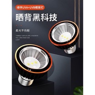 Turtle Light UVB Back Light uva Full Spectrum Sun Light Climbing Pet Lizard Reptile Calcium Suppleme