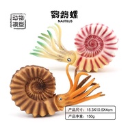 ♛Aoku Toys♛Children Simulation Marine Undersea Biological Ammonite Parrot Snail Model Plastic Solid 