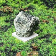 天然原礦羽毛綠碧璽 居家 辦公室 風水 療癒 擺件 旺財運 旺人緣