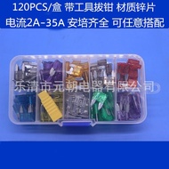 MINI Small Car Insert Fuse Box 120 Fuses 2A-35A with Pulling Pliers Fuse