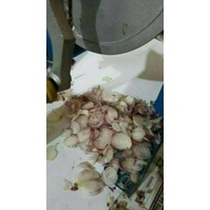 Mesin Pengiris Bawang Alat Gilingan Caca Potong Bramg Goreng Acar arga