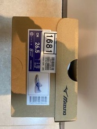 Mizuno Morelia Sala Elite In