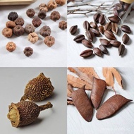 New[Various dried fruits and flowers]Christmas fruit decorations, dried flowers, dried fruits, plant