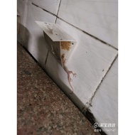 1 Piece Lizard Catcher Sticker Lizard Glue Lizard Trap Glue Gecko Catcher Gecko Sticker