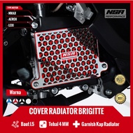 Cover Radiator NMAX VARIO  AEROX VARIO 125 150 160 OLD NEW PCX 160 150 LEXI Brigitte  Tutup Radiator Nmax Cover Radiator Nmax Aksesoris Motor NSA PERFORMANCE