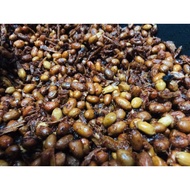SAMBAL GARING KALIS (kacang&ikan bilis)