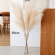 Afture Artificial Pampas Grass 80cm Tall Large and Fluffy No Shedding for Home Office Wedding and Ev