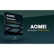 AOMEI Backupper Professional Edition