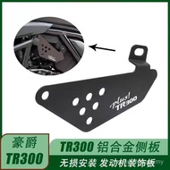 Hot-selling Applicable Haojue New Style TR300 PLUS Modified Hood Accessories Motorcycle Side Baffle 