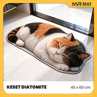MR MAT 3D Cat Character Diatomite Doormat Anti-Slip Floor MAT Bathroom MAT