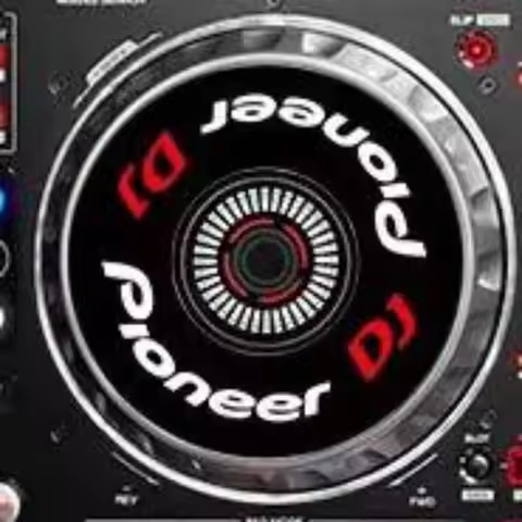 Pioneer Ddj-RB 400 Sr SX Rx Flx6 Flx4 1000 Xdj-RR Disk Skin jog Recorder Turntable Sticker