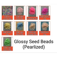 F4 20g Pearlized Glossy Seed Beads 2mm 3mm 4mm