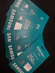 Samsung EVO Select 256GB SD