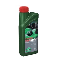 [ GO KART ] Rock Oil Castor Kart 100 (1L) (Castor Based Synthetic) (Racing 2T)