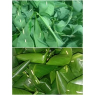 Tapai Pulut Tok Maa Daun Getah @ Daun Jambu