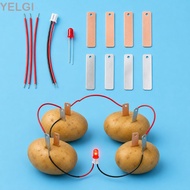 YELGI Fruit Battery Science Experiment Kit, STEM Experiment Kit Bio Energy Electricity Experiments S