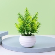 Mini Artificial Pine Tree Faux Plants Potted for Indoor , Home Garden Office Store Decoration Table Decoration