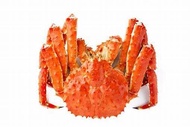 [Frozen] King Crab (1.2kg)