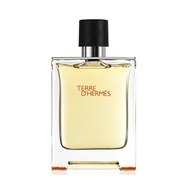 Hermes Terre D'Hermes 100ml EDT For Men