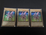 遊戲王 15週年 銀碎 霍莉·德伊特·龍卡牌