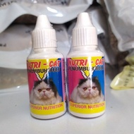 Cat Medicine STOP DROP Antibiotic Cat - 30ML