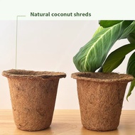 Pasu Sabut Kelapa – Biodegradable Plant Pot, Mesra Alam & Eco-Friendly, Coco Coir Fiber Planter [Rea