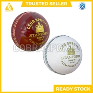 Stanford Club Special – Cricket Ball 5.5oz