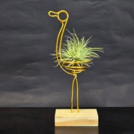 【金鶴報喜】含空鳳