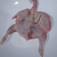 Burung Puyuh / daging puyuh Beku grade A
