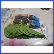 ✹ ∏ ☎   Buyo Betel Ikmo Chewing Nganga SET