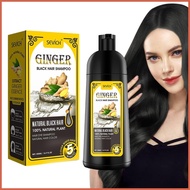 500ml Hair Color Shampoo Black Covering White Hair Shampoo Coconut Ginger Black Fast Cream Styling explansg explansg