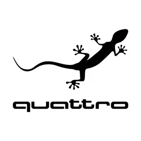 Gecko Car Sticker Motorcycle SUVs Bumper Car Window Laptop Car Stylings Vinyl Decals