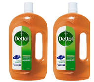 滴露 - Dettol 滴露套裝 消毒藥水 1.2升 x 2支 送衣物消毒劑 750ml (新舊包裝隨機發送)