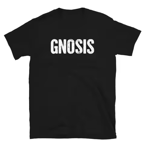 Distressed Gnostic T Shirt Gnosticism Gnosis
