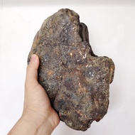 Genuine Krabi Beach Sandstone 3.95 kg (27x20x10 Cm.) There Is A Natural Cavity. Suiseki Stone Bonsai
