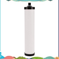Household Water Purifier Filter Elements 9-Inch T33 Rear Activated Carbon Filter Elements Water Puri