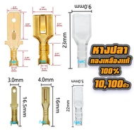 หางปลา ทองเหลือง (แท้) หนา แบนเมีย / แบนผู้ ขนาดจิ๋ว ขนาดกลาง ขนาด 2.8/6.3มิล 101001000 ตัว หางปลาทอ