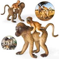 Grassland baboon primate animal model figurine children science educational toy simulation prop home