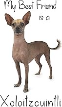 My best Friend is a Xoloitzcuintli (Squared Paper): 6" x 9" Blank Quadrille (quad) ruled Journal Not