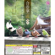 合掌祈福動物 雀仔篇 合掌 合掌動物 合掌雀仔 雀仔 小鳥 麻雀 丹頂鶴 貓頭鷹 動物扭蛋 扭蛋 日本扭蛋 日本代購 景品 玩具 公仔 擺設 figure 周邊 盒玩 盒蛋 食玩  
