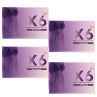 เอ็กซ์ 6 วี พลัส ส่งฟรี X6 v plus อาหารเสริมสำหรับผู้หญิง อาหารเสริม หญิง ดูแลภายใน อาหารเสริม (6 แค