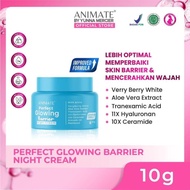 Animate Perfect Glowing Barrier Night Cream 10g