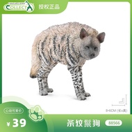 British CollectA Animal Model [88566 Striped Iguana] Early Childhood Education Cognitive Toys