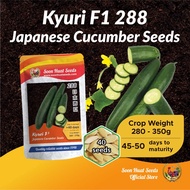 Benih Timun Jepun 288 Japanese Kyuri F1 Cucumber Seeds [40 seeds/200 seeds] Soon Huat Seeds