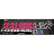 Sticker decals replacement Raleigh USA technium peak instinct chil