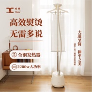 Domain Bridge Garment Steamer Household Steam Iron Vertical Ironing Machine Clothing Store Commercia