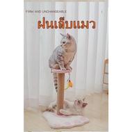 Cat Scratching Post Condo