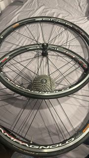 Campagnolo Zonda 輪組 連軚飛輪